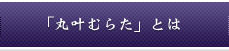 「丸叶むらた」とは